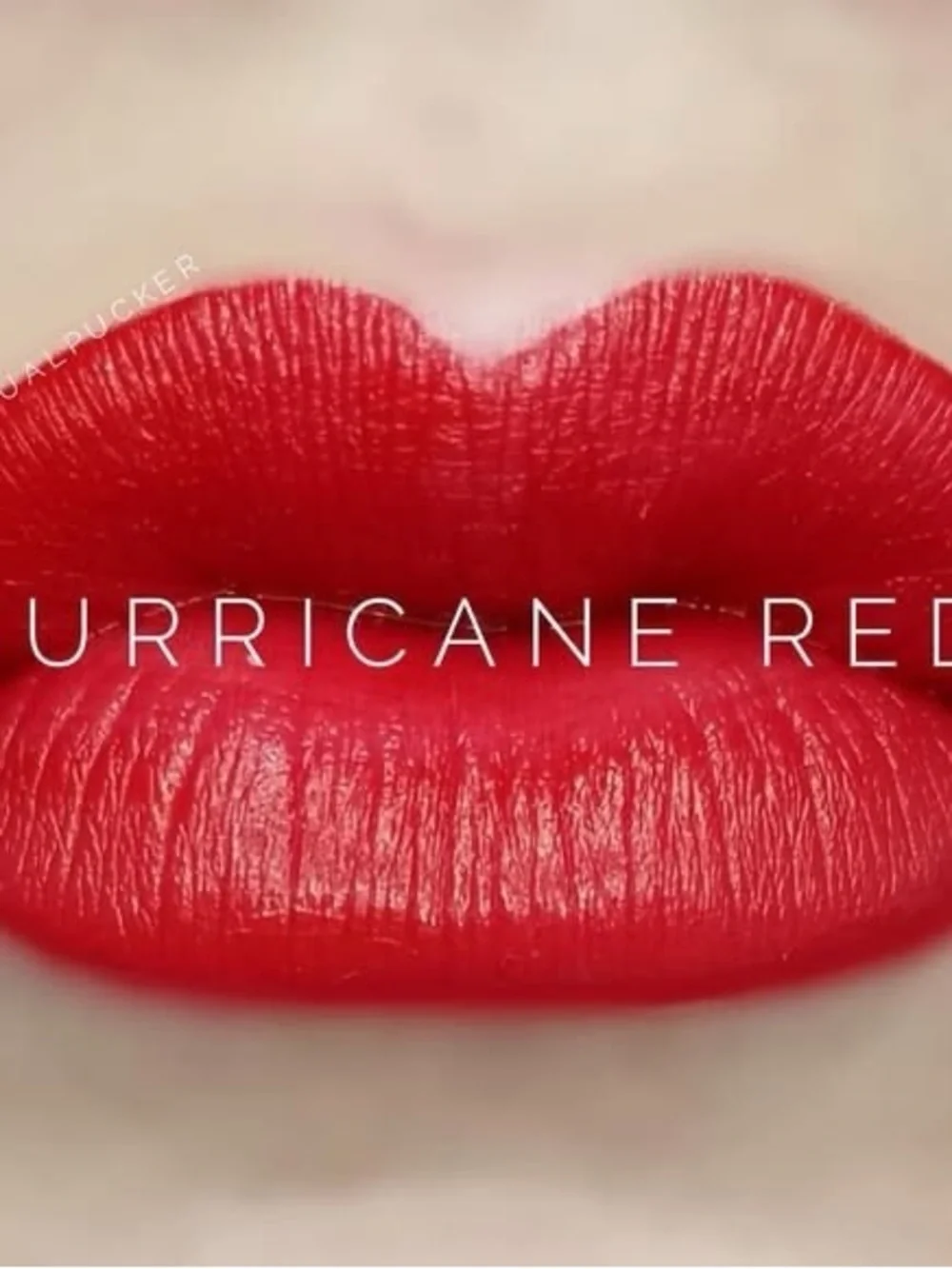 Lipsense by SeneGence new never opened full sized tube Hurricane Red